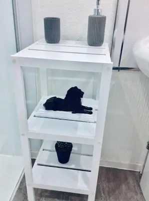 a black dog laying on a shelf in a bathroom at THE LION'S DEN ON ROYAL STREET in Gourock
