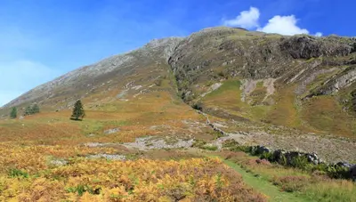 a mountain with trees on the side of it at Rowan Tree Lodge in Glencoe