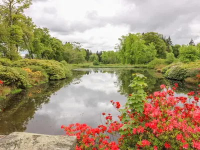 a view of a river with red flowers at Gate Lodge in West Calder