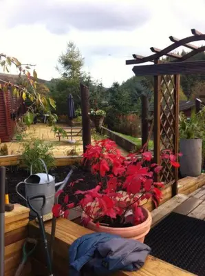 a porch with a potted plant on a deck at Ramintoul Lodge in Glendevon
