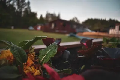a group of flowers in a pot in a yard at Lodge at Loch Lomond in Glasgow