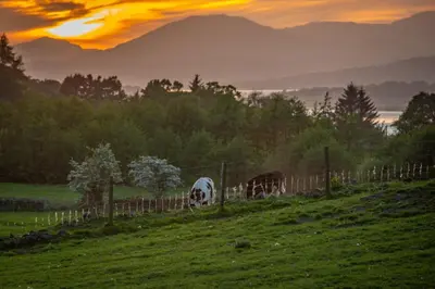a fence in a field with a sunset in the background at Super King Lodge-Sleeps 2-HotTub-Sea View in Langbank