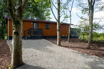 a cabin in the woods with a walkway in front at Super King Lodge-Sleeps 2-HotTub-Sea View in Langbank