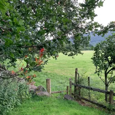 a wooden fence with a field in the background at A Fairytale Highland Cottage in Aberfeldy