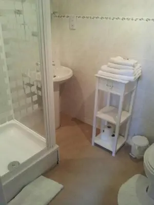 a bathroom with a shower and a toilet and a sink at Don Muir Guesthouse in Oban