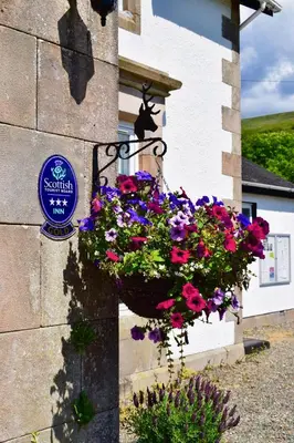 a hanging basket of flowers on the side of a building at The Colintraive in Colintraive