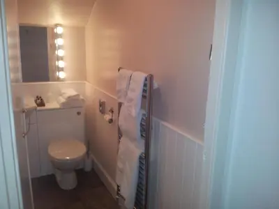 a small bathroom with a toilet and a sink at St.Ebba B&B in Rothesay