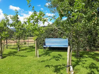 a blue bench sitting in the grass next to trees at Ben Ledi View in Callander