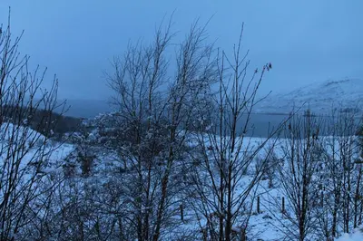 a snow covered field with trees and a body of water at Loch Arklet House in Stirling