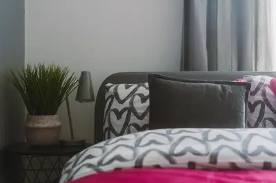 a living room with a couch and a potted plant at RelaxingSleep Apartments in Glasgow