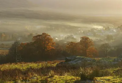 a foggy field with trees and clouds in the background at Woodland Chestnut Lodge in Killin