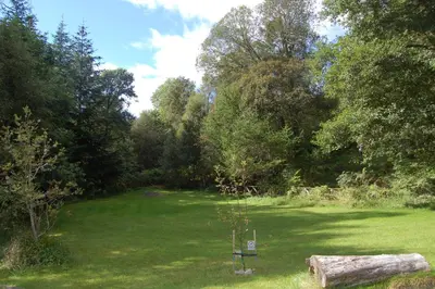 a garden with a tree in the middle of a field at Cosy & compact Rowan Lodge no4 in Killin