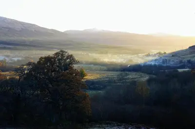 a foggy valley with a tree in the foreground at Cosy & compact Rowan Lodge no2 in Killin