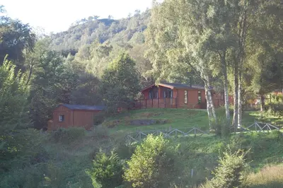 a cabin in the middle of a hill with trees at Woodland Gean Lodge in Killin