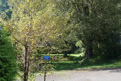 a blue sign in the middle of a park with trees at Woodland Pine Lodge in Killin