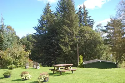 a picnic table in the grass in a park at Woodland Pine Lodge in Killin