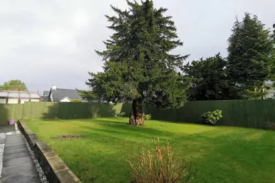 a tree in a yard with a fence at Broomfield Cottage South Luss in Glasgow