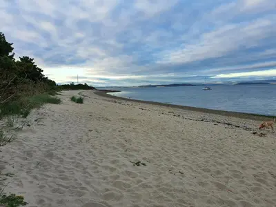 a dog standing on a sandy beach next to the water at Cromla Cottage in Corrie