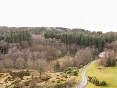 a road in the middle of a field with trees at Glenfinglas Dam Cottage in Callander