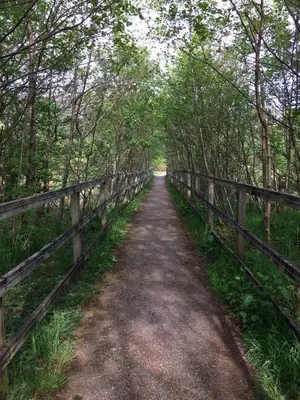 a dirt road with a fence on the side at Etive Pod, West Highland Way Holidays in Kinlochleven
