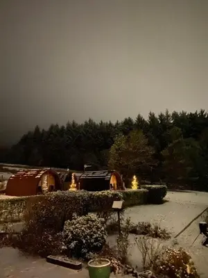 a snow covered yard with trees in the background at Stoneymollan over Loch Lomond in Balloch