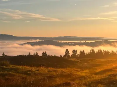 a view of a foggy field with trees in the background at Stoneymollan over Loch Lomond in Balloch