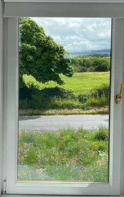 a window with a view of a field of flowers at The Smiddy House in Auchterarder