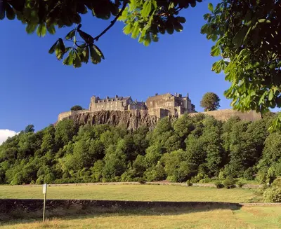 a castle on top of a hill with trees at Harviestoun House in Dollar