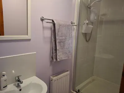 a bathroom with a sink and a shower and a toilet at Rockfoot B&B in Fintry