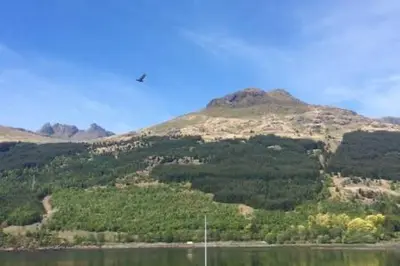 a view of a mountain with a bird flying over the water at TwoStones Self Catering Cottage in Arrochar