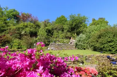 a man sitting on a bench in a garden with flowers at Clyde View B&B in Dunoon