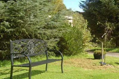 a bench sitting in the grass next to a bush at Woodland Spruce Lodge in Killin