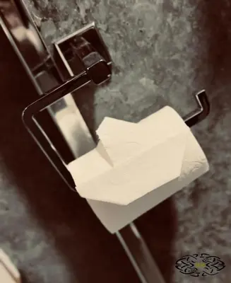 a roll of toilet paper sticking out of a paper dispenser at Royal Marine Hotel Dunoon in Kirn
