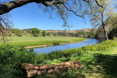 a river in a field next to a tree at Barns Library in Peebles