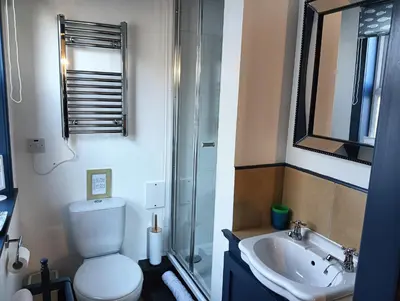 a bathroom with a toilet and a sink and a mirror at The Bothy Claymires Loch Lomond & Stirling in Buchlyvie