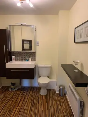 a bathroom with a toilet and a sink and a mirror at Ayr Apartment with Sea and Countryside views in Ayr