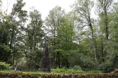 a garden with a tall tree with purple flowers at Farmston Lodge in Callander