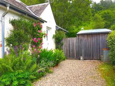 a garden with pink flowers and a fence at 4 Balvaig Cottage, Strathyre in Stirling