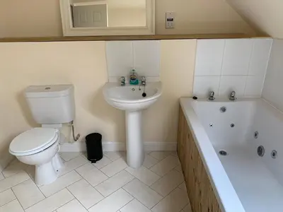 a bathroom with a toilet and a sink and a tub at Ayr Loft Apartment with Fabulous Views in Ayr