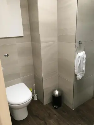 a bathroom with a toilet and a shower at Cosy cottage with sea views close to local shops. in Lamlash