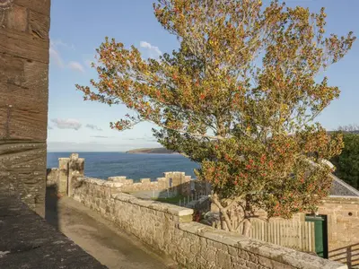 a tree on a wall with the ocean in the background at Ardlochan Lodge - Culzean Castle in Maybole