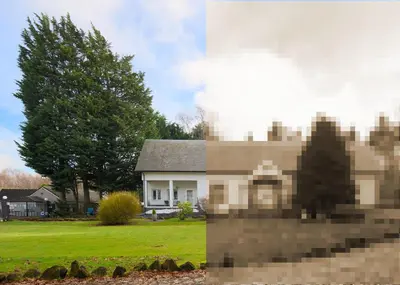 a house with a green yard and a tree at The Retreat Tranquil Countryside Apartment in Larkhall