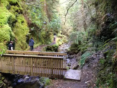 a wooden bridge over a stream in a forest at Rashfield Sheilings - Quiet Riverside Lodges for Couples near Pucks Glen in Dunoon