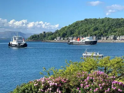three boats on a river with flowers in the foreground at The Manor House in Oban