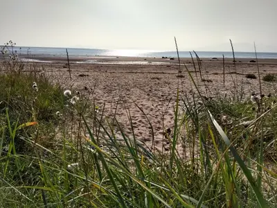 a sandy beach with grass and the ocean in the background at Cleeves Cabins Ailsa Luxury Lodge with hot tub in Dalry
