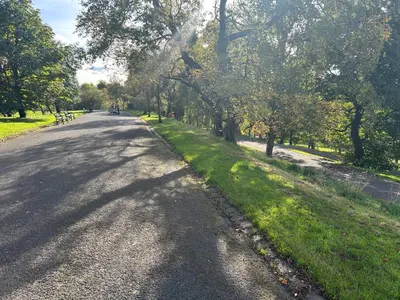 a road with trees and grass on the side at Perfect In The Park in Glasgow