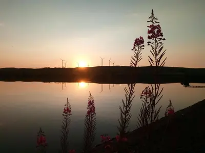 a sunset with windmills in the background at Buckieburn - self-catering - rural in Stirling