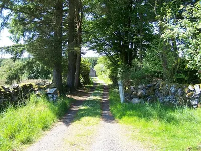 a dirt road with trees and a stone wall at Ochiltree cottage in Newton Stewart