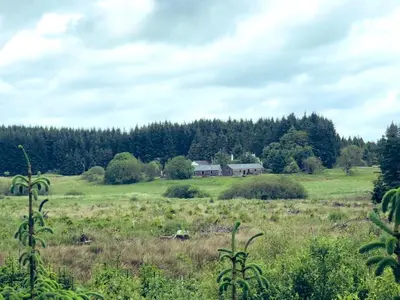 a large field with a house in the distance at Anne's Cottage in Bargrennan