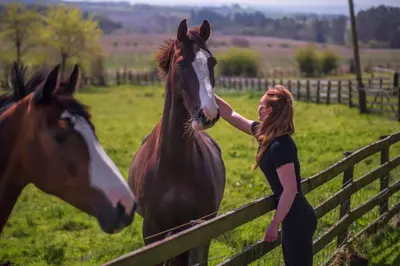 a woman standing next to a fence petting a horse at Meadowhead Cottage, Traditional Scottish Cottage in Waterside